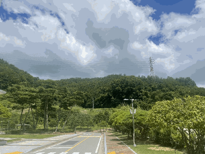 전남 무안군 삼향읍 임야 경매 물건 사진 5 · 2025타경51221