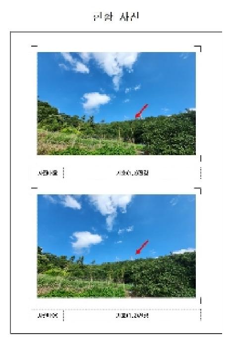 전남 무안군 삼향읍 임야 경매 물건 사진