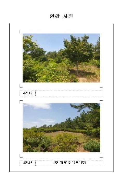 전남 신안군 압해읍 임야 경매 물건 사진 3 · 2025타경51226