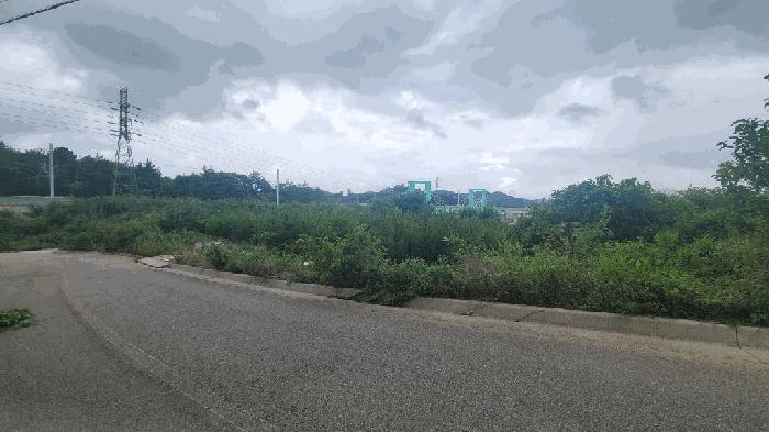 전남 무안군 삼향읍 임야 경매 물건 사진 5 · 2025타경51249