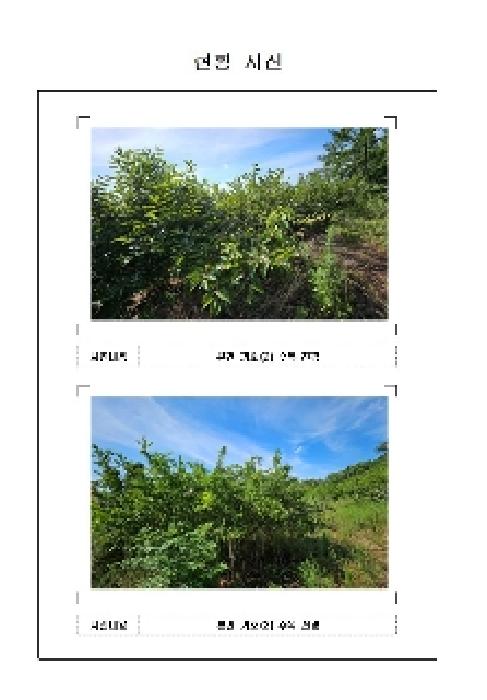 전남 신안군 압해읍 임야 경매 물건 사진 6 · 2025타경51271