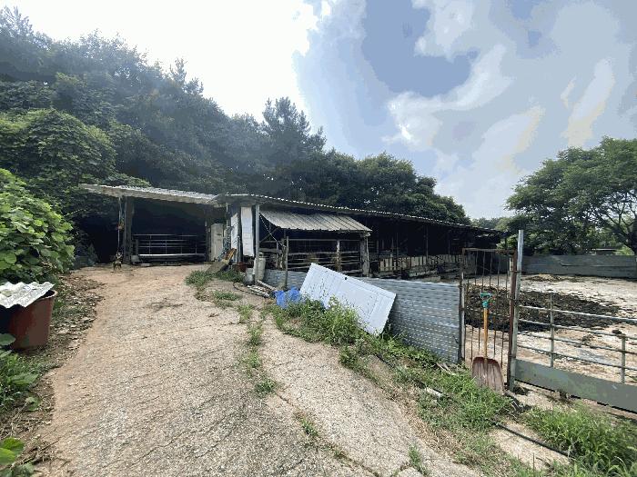 전남 무안군 청계면 목장용지 경매 물건 사진 4 · 2025타경51276