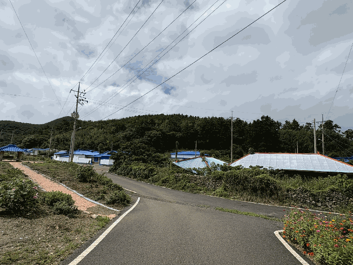 전남 신안군 자은면 임야 경매 물건 사진 5 · 2025타경51310