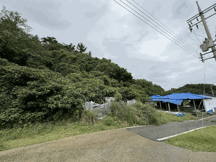 전남 신안군 자은면 임야 경매 물건 사진 6 · 2025타경51310