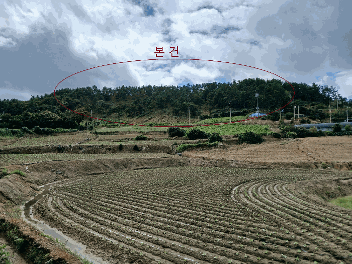전남 무안군 해제면 임야 경매 물건 사진 3 · 2025타경51380