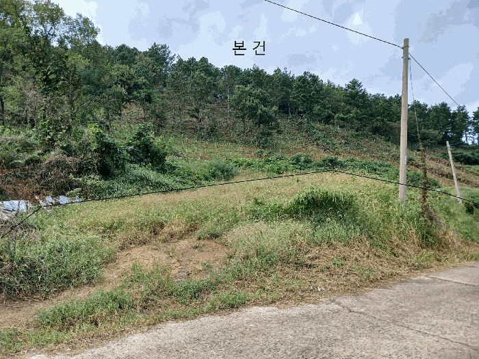전남 무안군 해제면 임야 경매 물건 사진 4 · 2025타경51380