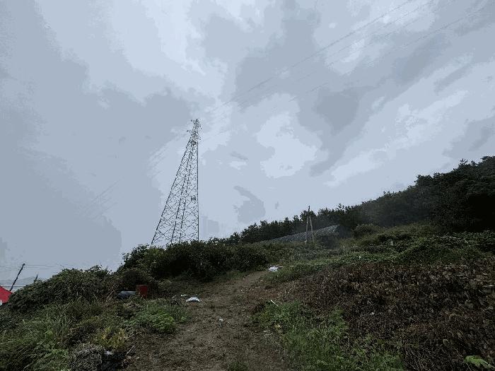 전남 신안군 증도면 전 경매 물건 사진