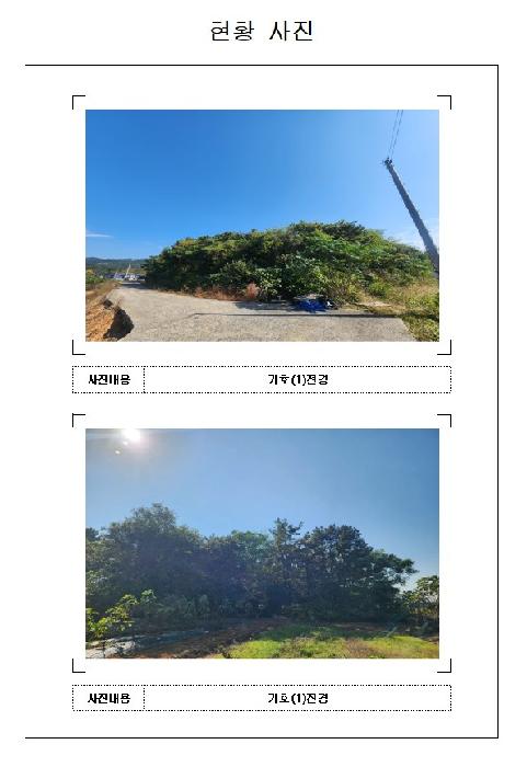 전남 영암군 삼호읍 임야 경매 물건 사진