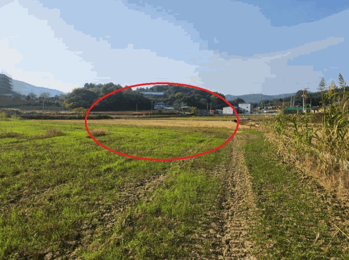 전남 무안군 삼향읍 답 경매 물건 사진 4 · 2025타경51587