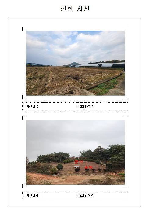 전남 영암군 신북면 답 경매 물건 사진