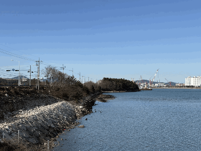 전라남도 영암군 삼호읍 용당리 산155-1 임야 경매 물건 사진
