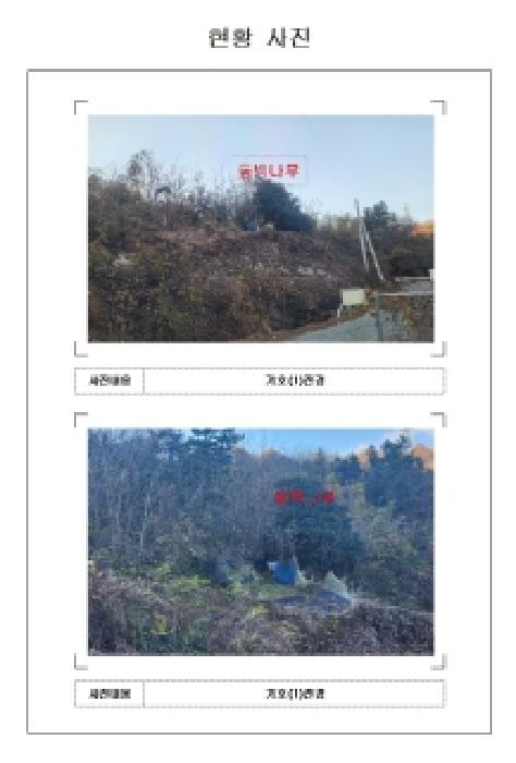 전남 무안군 삼향읍 임야 경매 물건 사진