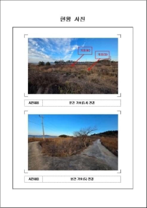 전남 무안군 망운면 임야 경매 물건 사진