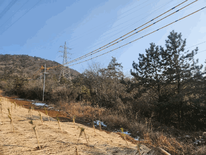전라남도 신안군 압해읍 매화리 산320 임야 경매 물건 사진