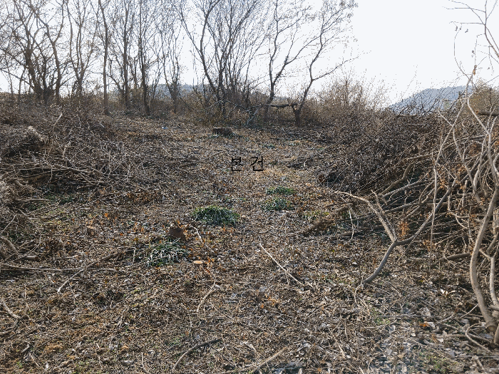 전남 무안군 일로읍 대지 경매 물건 사진 5 · 2025타경51767
