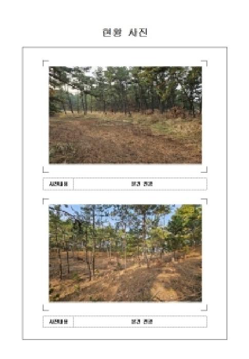 전남 신안군 임자면 임야 경매 물건 사진 2 · 2025타경51772