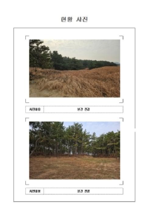전남 신안군 임자면 임야 경매 물건 사진