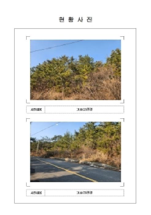 전남 신안군 지도읍 임야 경매 물건 사진 3 · 2025타경51788