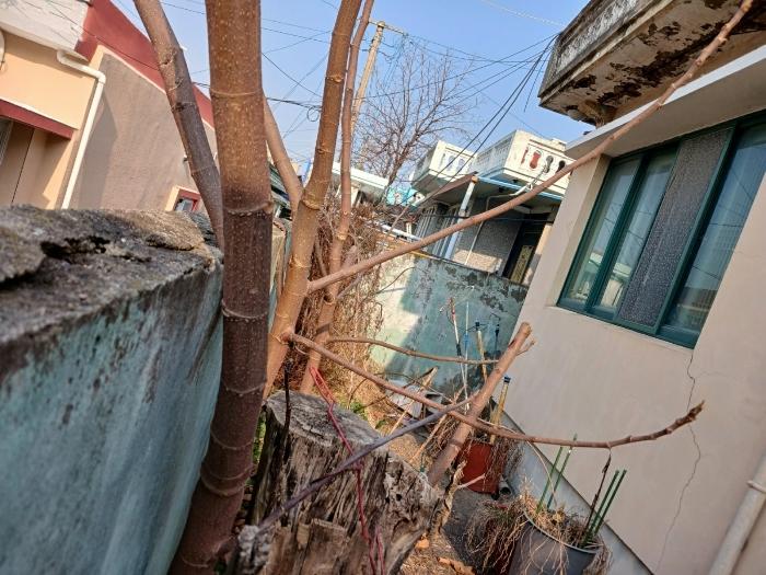 전남 목포시 용당동 단독주택 경매 물건 사진 5 · 2025타경52