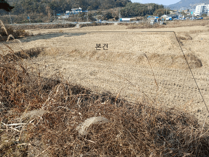 전남 영암군 미암면 답 경매 물건 사진 6 · 2025타경561