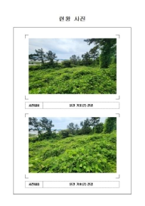 전남 신안군 암태면 임야 경매 물건 사진 4 · 2025타경573