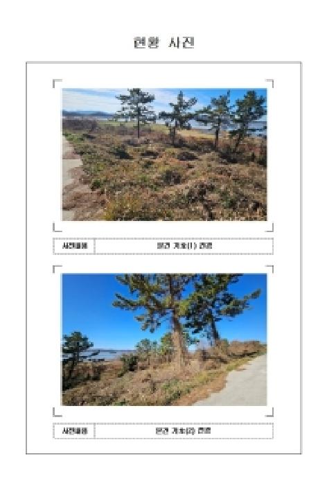 전남 신안군 암태면 임야 경매 물건 사진 2 · 2025타경573