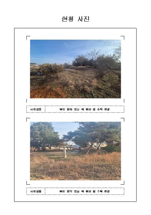 전남 함평군 엄다면 대지,임야,전답 경매 물건 사진 5 · 2026타경16