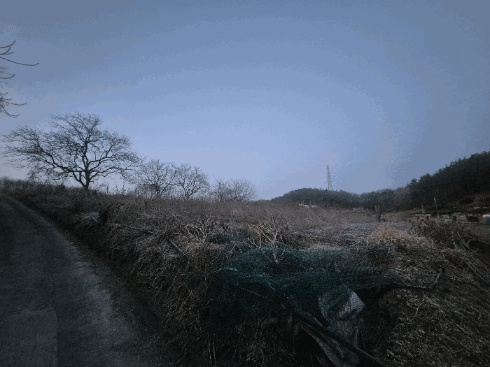 전남 함평군 엄다면 전답 경매 물건 사진 4 · 2026타경24