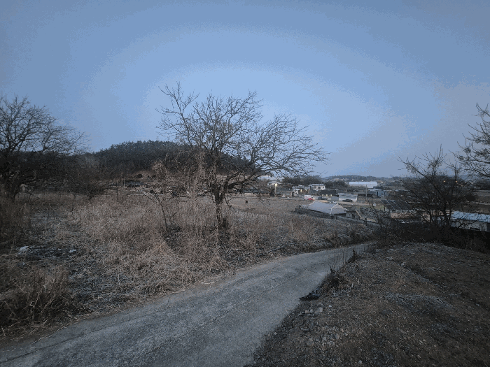 전남 함평군 엄다면 전답 경매 물건 사진 5 · 2026타경24