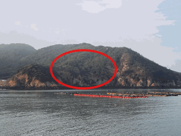 전남 신안군 흑산면 임야 경매 물건 사진 3 · 2026타경50027