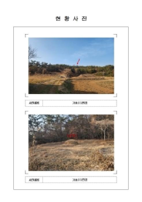 전남 신안군 지도읍 임야 경매 물건 사진