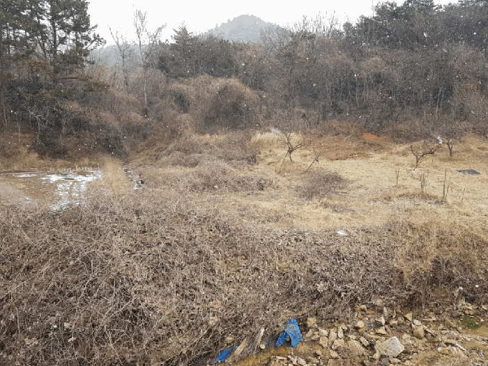 전남 함평군 손불면 전답 경매 물건 사진 3 · 2026타경50086