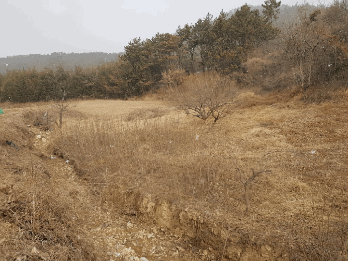 전남 함평군 손불면 전답 경매 물건 사진 5 · 2026타경50086