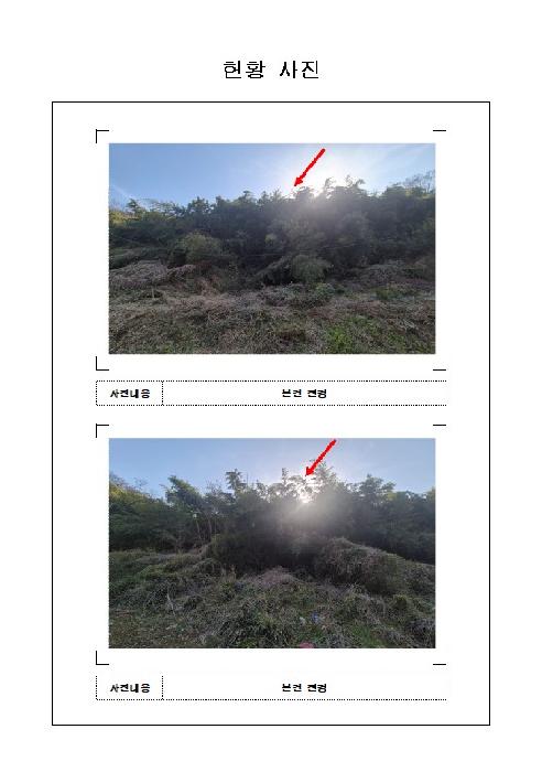 전남 함평군 대동면 대지,임야,전답 경매 물건 사진