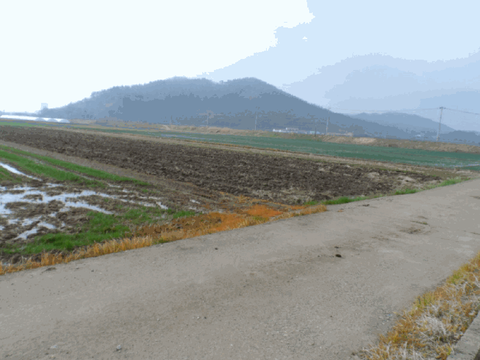 전라남도 함평군 대동면 덕산리 865-14 전답 경매 물건 사진