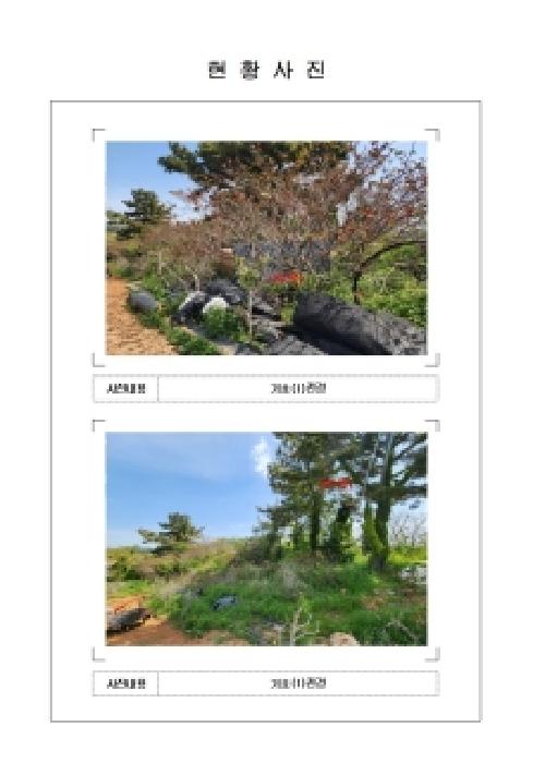 전남 신안군 압해읍 전답 경매 물건 사진 4 · 2026타경50312