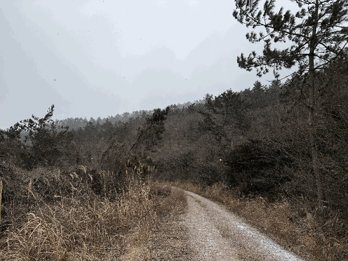 전남 신안군 임자면 임야 경매 물건 사진 5 · 2026타경7