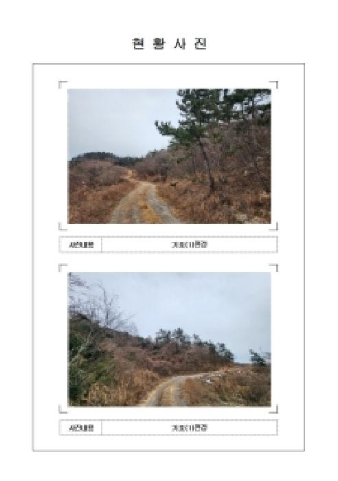 전남 신안군 임자면 임야 경매 물건 사진
