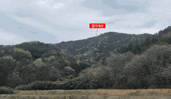 전남 함평군 손불면 임야 경매 물건 사진 5 · 2026타경70