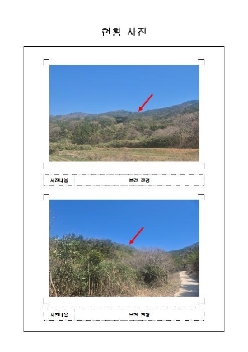 전남 함평군 손불면 임야 경매 물건 사진