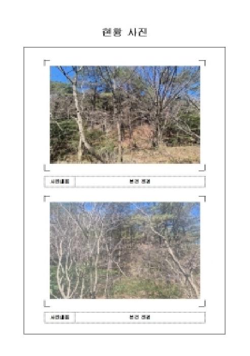 전남 함평군 손불면 임야 경매 물건 사진 2 · 2026타경70