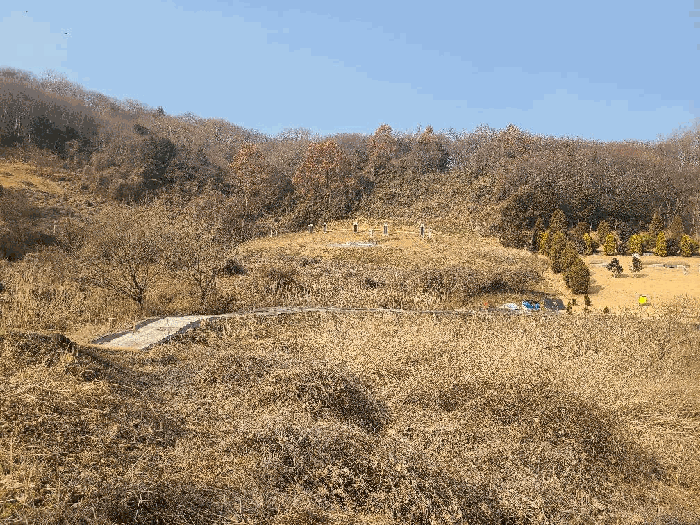 전남 함평군 나산면 전답 경매 물건 사진 3 · 2026타경9