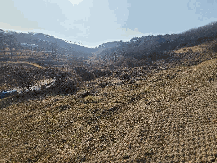 전남 함평군 나산면 전답 경매 물건 사진 5 · 2026타경9