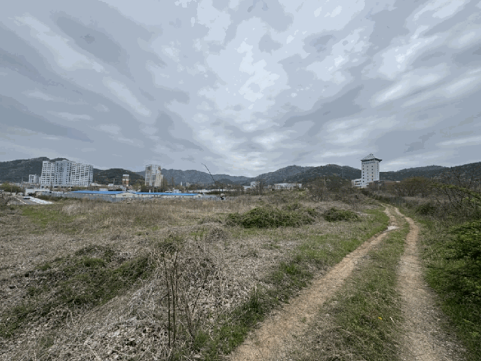 전남 무안군 청계면 임야 경매 물건 사진 6 · 2026타경90