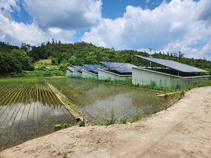 전라남도 장흥군 장평면 두봉리 625 답 경매 물건 사진