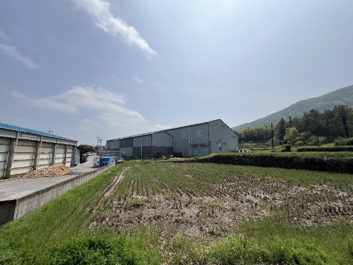 전라남도 장흥군 안양면 기산리 244 공장/지식산업센터 경매 물건 사진