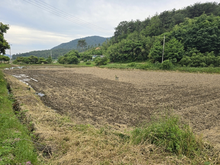 전남 장흥군 용산면 답 경매 물건 사진 5 · 2024타경5749