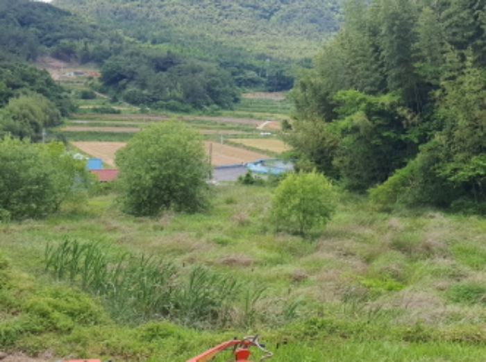 전남 장흥군 용산면 답 경매 물건 사진
