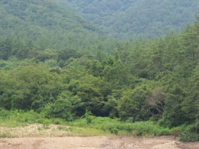전남 장흥군 용산면 답 경매 물건 사진