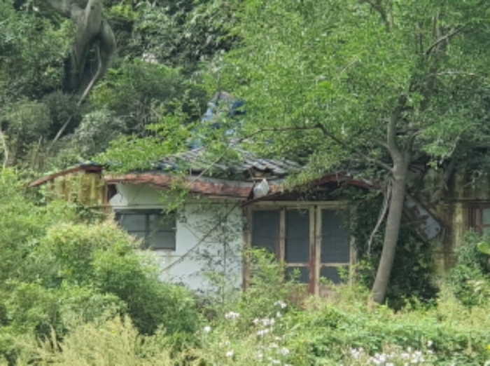 전남 장흥군 장평면 대지 경매 물건 사진 2 · 2024타경6278